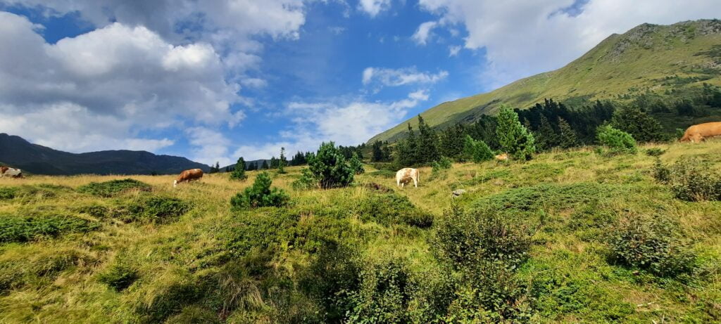 Oostenrijk op de berg